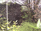 City Wall Survey