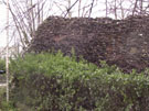 City Wall Survey