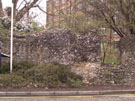 City Wall Survey