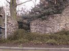 City Wall Survey