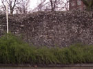 City Wall Survey