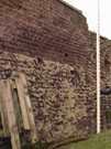 City Wall Survey