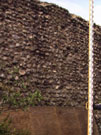 City Wall Survey