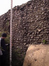 City Wall Survey