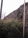 City Wall Survey