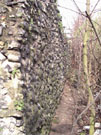 City Wall Survey