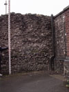 City Wall Survey