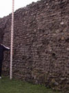 City Wall Survey