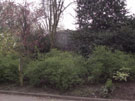 City Wall Survey
