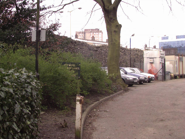 City Wall Survey