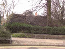 City Wall Survey