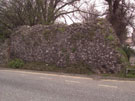 City Wall Survey