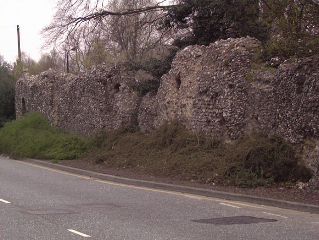 City Wall Survey