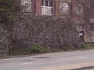 City Wall Survey