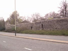 City Wall Survey