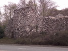 City Wall Survey