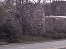City Wall Survey