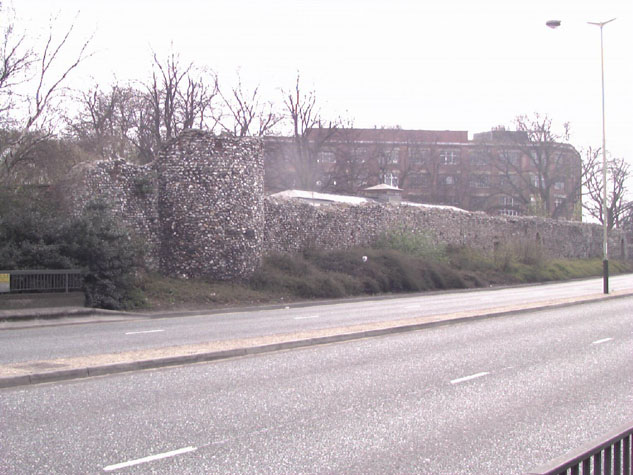 City Wall Survey