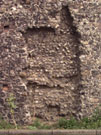 City Wall Survey