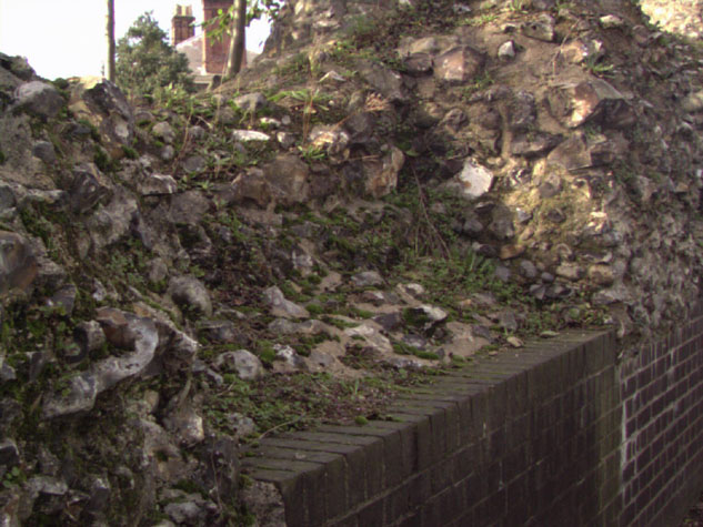 City Walls Survey