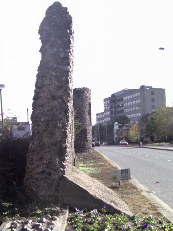 City Walls Survey