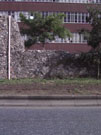 City Wall Survey