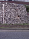 City Wall Survey