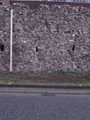 City Wall Survey