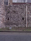 City Wall Survey