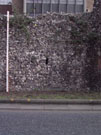 City Wall Survey