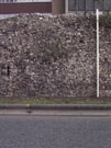 City Wall Survey