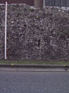 City Wall Survey