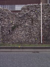 City Wall Survey