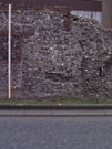 City Wall Survey