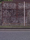 City Wall Survey