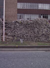City Wall Survey