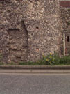 City Wall Survey