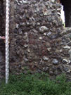 City Wall Survey