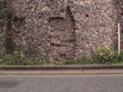 City Wall Survey