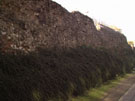 City Walls Survey