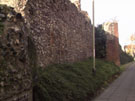 City Walls Survey