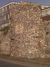 City Wall Survey