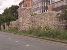 City Walls Survey