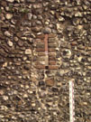 City Wall Survey