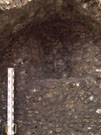 City Wall Survey