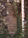City Wall Survey