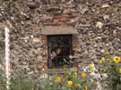 City Wall Survey