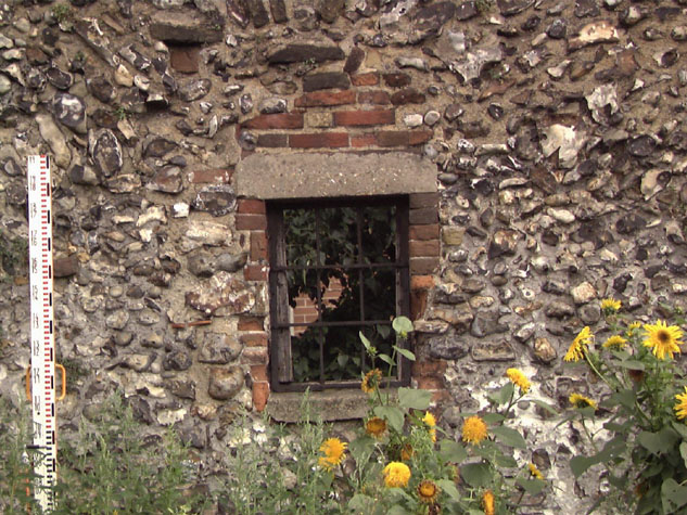 City Wall Survey
