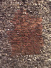City Wall Survey
