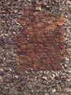 City Wall Survey